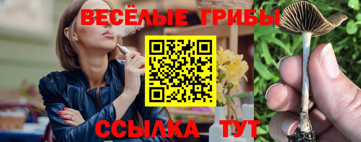 Псилоцибиновые грибы GOLDEN TEACHER  Псилоцибиновые грибы Cubensis  Канаш  Вход с VPN 